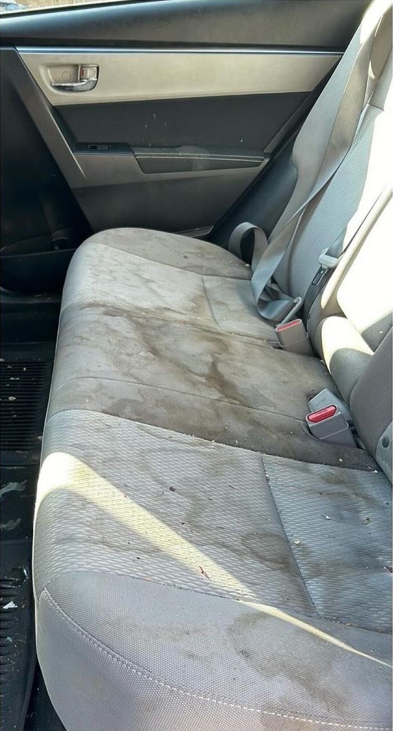 Rear seat before cleaning with large dark stains